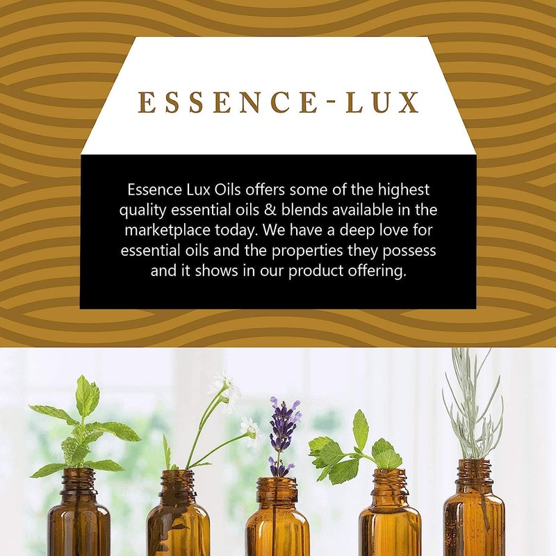 Essence-Lux 10ml Oils - Vanilla Essential Oil - 0.33 Fluid