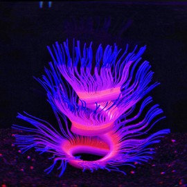 Bluecoco Blue/Green Free-Form Sea Anemone Corals，Soft Silica Gel Moves Naturally with Water Flow, Aquarium Decorations Glow in The Dark, Glowing Coral Ornaments for Fish Tank Decorations (Blue)