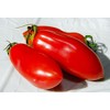 30+ Italian San Marzano Paste Tomato Seeds, Heirloom Non-GMO, Indeterminate,
