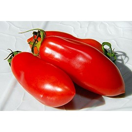 30+ Italian San Marzano Paste Tomato Seeds, Heirloom Non-GMO, Indeterminate, Open-Pollinated, Productive, Delicious, from USA