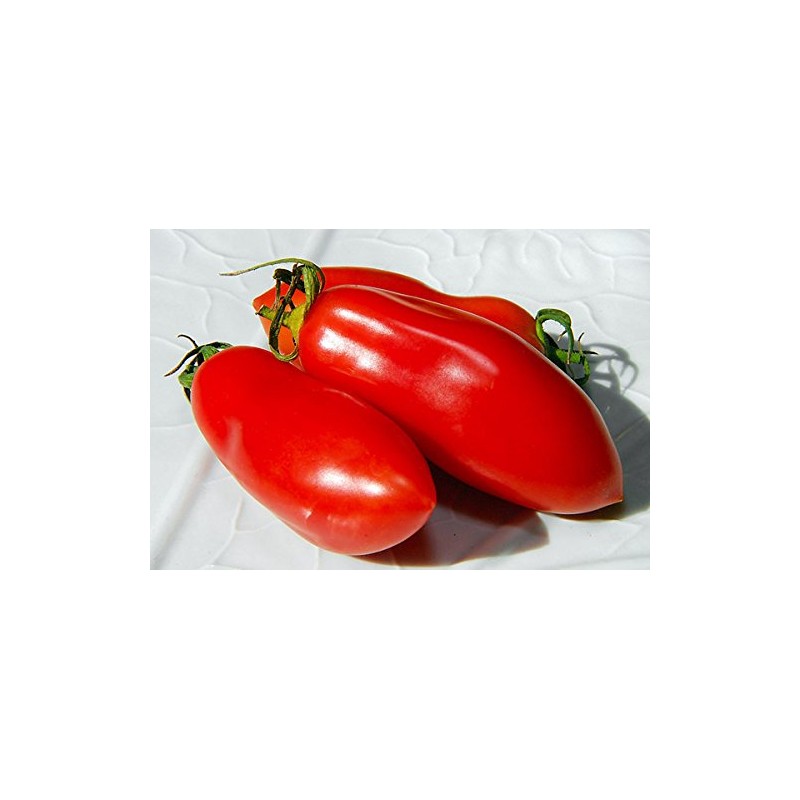 30+ Italian San Marzano Paste Tomato Seeds, Heirloom Non-GMO, Indeterminate,