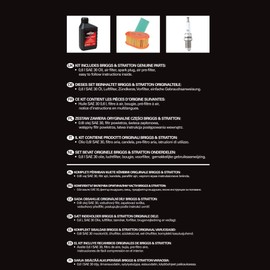 Briggs & Stratton Engine Care Kit., black, 992234