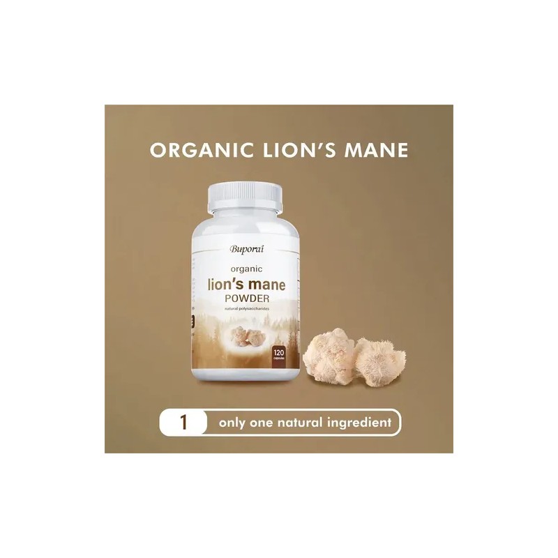Hongo Melena De León Orgánico Buporai Organic Lions Mane Mushroom