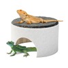 Swirge Basking Platform for Bearded Dragons, Bearded Dragon Hideout, Reptile