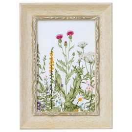 Larson Jules Nippon Monaco Postcard Picture Frame (4x6 inch = 102x152 mm) Large Insert Mat (window size 74x120mm) White x Silver