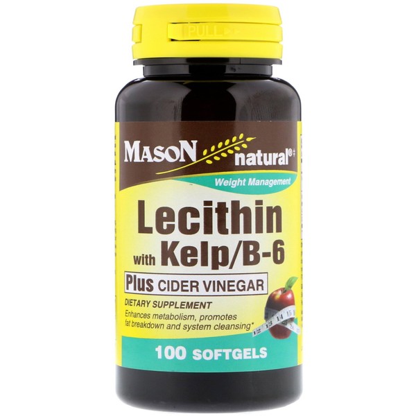 Mason Vitamins Lecithin with Kelp, B 6 Plus Cider Vinegar Softgels, 60 Count