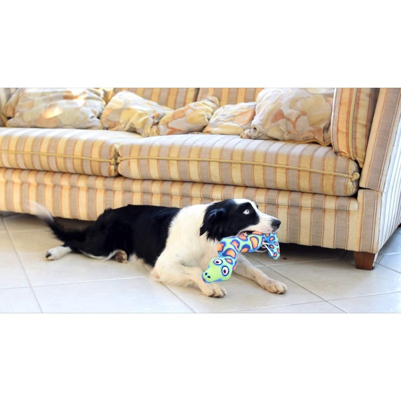 Petmate Fat Cat Incredible Strapping Yankers Dog Toy, Snake (Colors