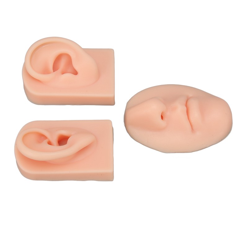 3D Nose and Mouth Model Silicone Ear Model Simulation Display