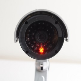 Dome Dummy Surveillance Camera for Entrance Security with Warning Sign LED Flashing