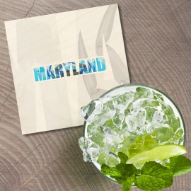 Unbranded Maryland USA State Nature Slogan 4'' X 4'' Square Wooden Coaster