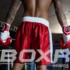 RingMaster BoxR Series Kids Boxing Shorts Trunks Junior Children (XX
