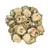 신선약초 수입 여주 300g 말린 여주 차재료 Imported Fresh Bitter Melon 300g Dried Bitter Melon Tea Ingredient