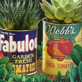 BelAya E Set of 2 Decorative Replica Tomato Tin Cans - 2 Retro Tomato Metal Storage Tin Set - Vintage Style Metal Food Display Cans. Ideal for plants, pens, keys, cutlery.