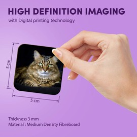 1 x Quadratischer Kühlschrankmagnet aus MDF – Tigerkatze Kätzchen Haustiere Tier 15586