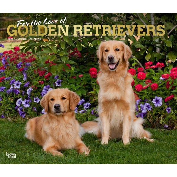 For the Love of Golden Retrievers | 2024 14 x