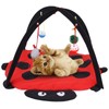 Foldable Cat Activity Play Mat Tent Multifunction Pet Bed with