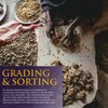 Frankincense Resins | Boswellia Sacra Frankincense Incense |Chruch Incense Olibanum