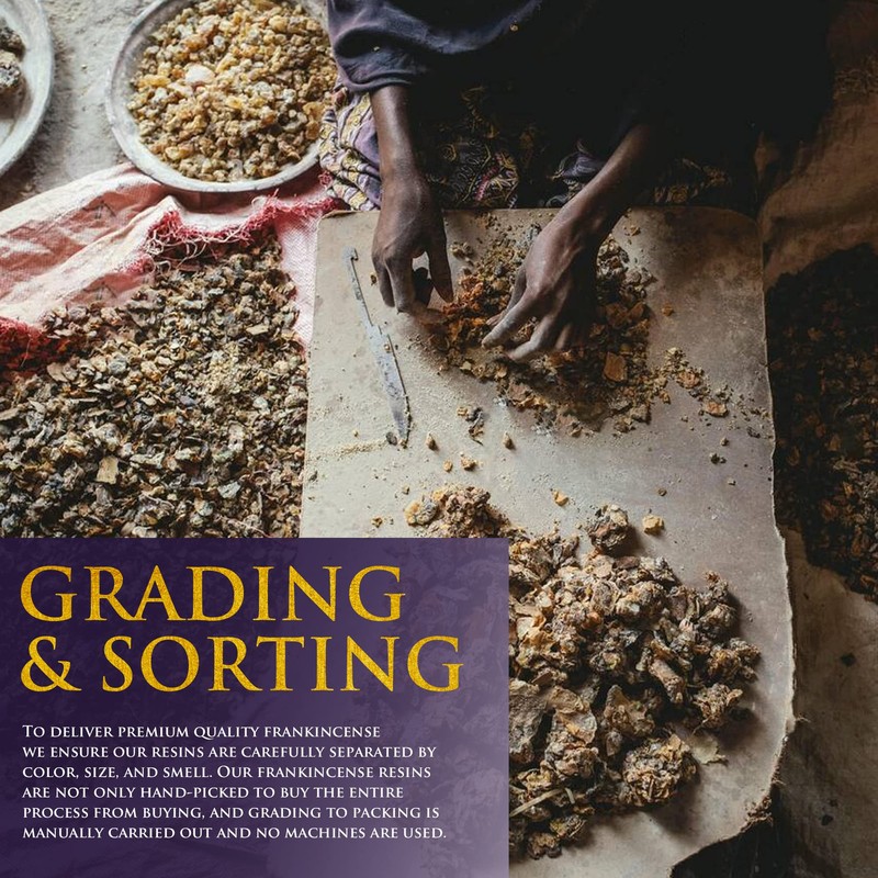Frankincense Resins | Boswellia Sacra Frankincense Incense |Chruch Incense Olibanum