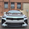 ZTT For 2018~2023+ Kia Stinger Front Bumper Vent Hole Covers