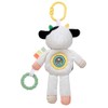 Plush 10 inch Plush Activity Toy with Teethers, Crinkle, Spinner