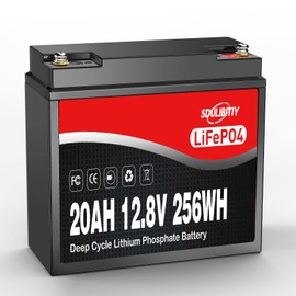 SDULIBITIY 12 Volt 20Ah Lithium Battery LiFePO4 12V LiFePO4 Battery 2000+ Deep Cycle Rechargeable Built-in BMS Battery Perfect for Kids Scooters, Fish finder, Solar, Off-Grid Applications