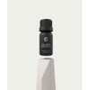 Bursera Tea Tree Essential Oil, Tree Planted with Every Order,