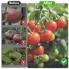 2 Pcs 57"X15.7" Round Tomato Netting with Zipper, Insect Bird