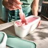 Springlane Set of 2 Ice Containers, 1 Litre, BPA-Free, Food
