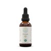 HerbEra Onion B60 USDA Organic Tincture | Alcohol-Free Extract, High-Potency