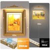 Kryoza Brass Wireless Picture Light for Wall with Motion Sensor