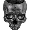 Skull Planter Spine Stand Set Innovative Exquisite Decorative Hand Painted