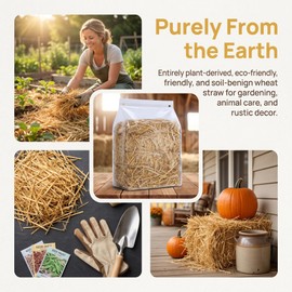 1.3lb Natural Wheat Straw for Garden Mulch and Animal Bedding Clean Dry Straw Mulch for Vegetable Gardens, Chicken Coops, Nesting Boxes, and Outdoor Stray Cat Shelters Sun-Dried & Weed-Free