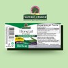 Nature's Answer Alcohol-Free Horsetail Herb Extract Supplement, 1-Fluid Ounce |