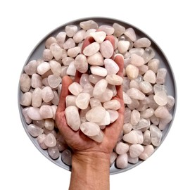 MINERALUNIVERSE Tumbled Rose Quartz Crystals Bulk Natural Healing Crystals & Stones Pink Polished Gemstones Half Pound