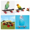 ZHEJIA Bird Toy, Mini Skateboard Toy, Pet Supplies, Educational Education,