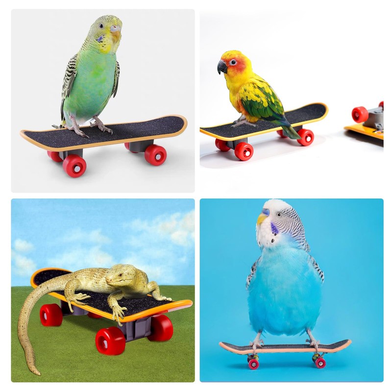 ZHEJIA Bird Toy, Mini Skateboard Toy, Pet Supplies, Educational Education,