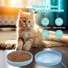 Silicone Dog Bowl Shallow Cat Food Bowls, 6 Inch Wide