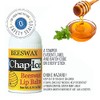 Chap Ice Mini Lip Balm Assorted Flavors12 Count Bundle with