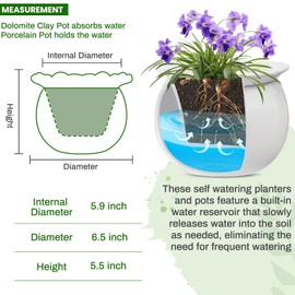 Suclain 2 Pcs African Violet Pots, 6.5 Inch Self Watering Pots for Indoor Flowers and Plants Ceramic Easy Self Watering Plant Pot with Highly Absorbent Inner Planter Pot for Tropical Plants(White)
