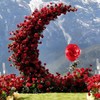 60 Pcs Wine Red Artificial Roses Bulk for Wedding Decor