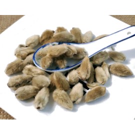 Unbranded  Xin Yi / Magnolia Flower Bud / Bud of magnolia Denudata Desr. - 16 oz