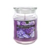 SRG Scented 18 Ounce Glass Jar Container Candle - Lilac
