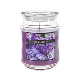 SRG Scented 18 Ounce Glass Jar Container Candle - Lilac Blossom