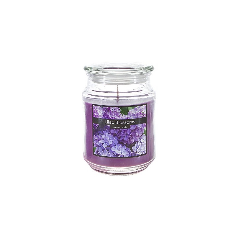 SRG Scented 18 Ounce Glass Jar Container Candle - Lilac