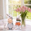 Hodao Easter Bunny Decorations Spring Home Decor Bunny Figurines Gifts(Easter