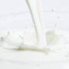 MBP 유단백 추출물 분말 200g 5통 MBP Whey Protein Extract
