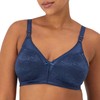 Bali Women's Double Support Spa Closure Wirefree Bra DF3372, In
