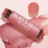 Bálsamo labial tintado natural Burt's Bees, rojo (Red dahlia), 2