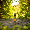 Herb Pharm Organic Echinacea Root Extract, Alcohol-Free: Immune System Support