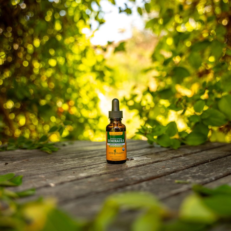 Herb Pharm Organic Echinacea Root Extract, Alcohol-Free: Immune System Support